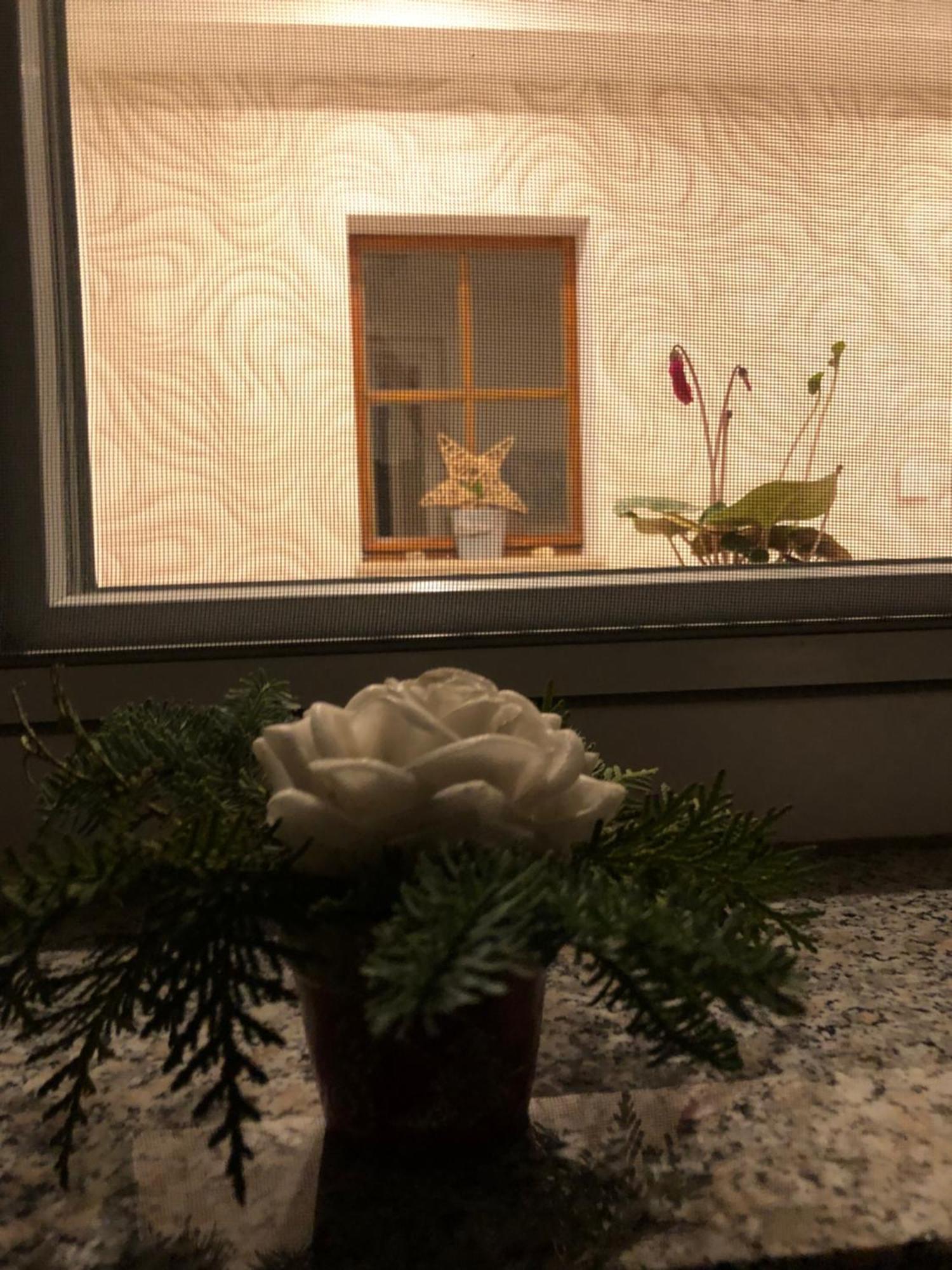 Dirks Schmuckstuck Villa Weisswasser Bagian luar foto